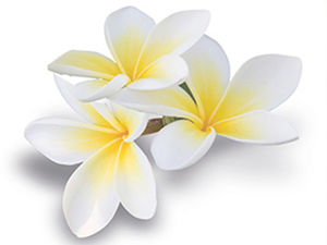 MODIFICATION ET ANNULATION